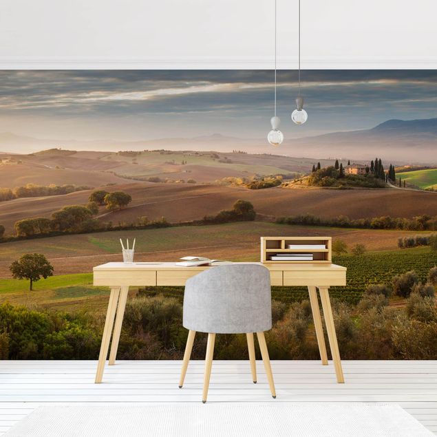 Papel de parede paisagens Olive Grove In Tuscany