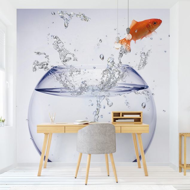 papel de parede de peixe Flying Goldfish