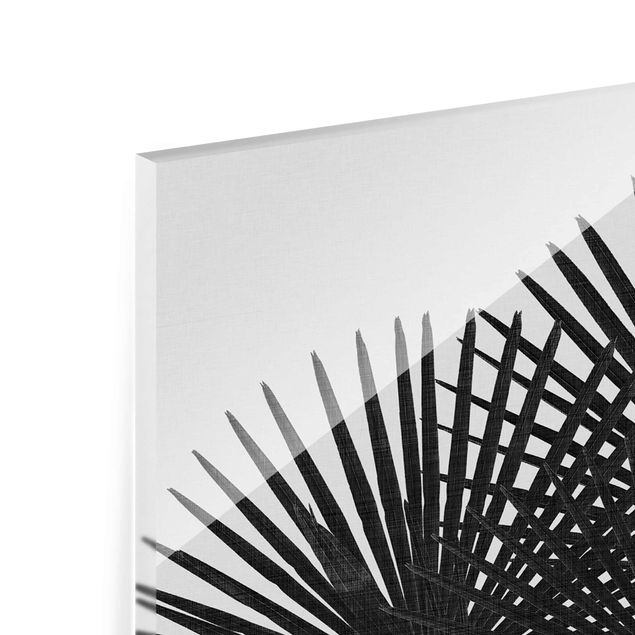 quadro de vidro Palm Leaves In Black And White