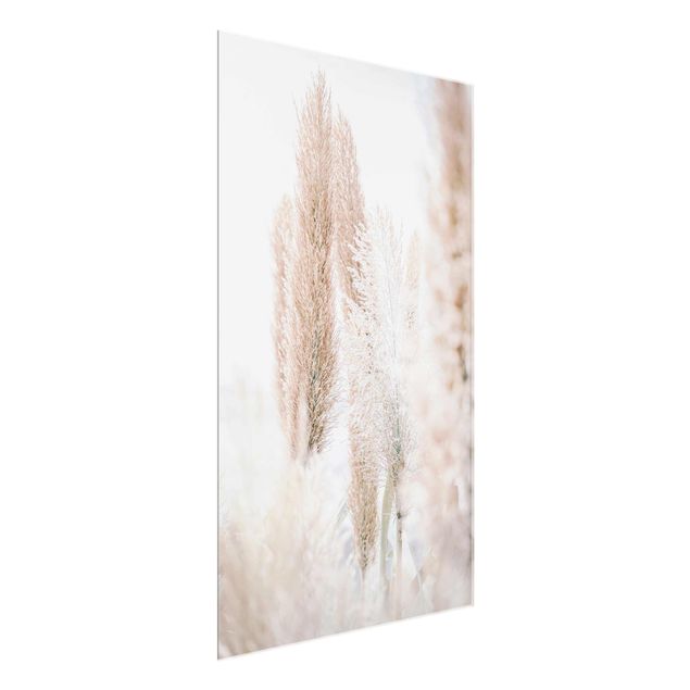 quadros de flores Pampas Grass In White Light
