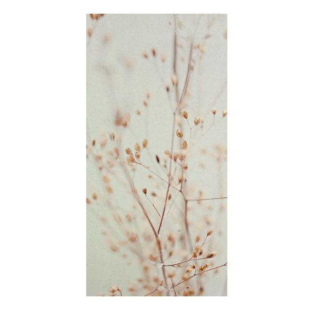 quadros de flores Pastel Buds On Wild Flower Twig