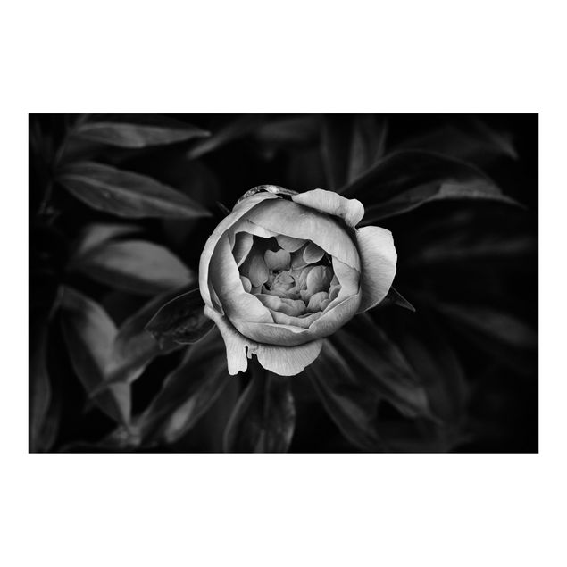 Mural de parede Peonies In Front Of Leaves Black And White