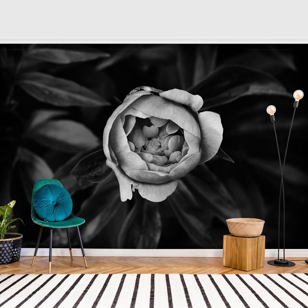 Papel de parede rosas Peonies In Front Of Leaves Black And White