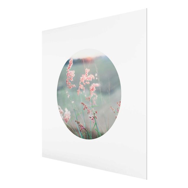 Quadros decorativos Pink Flowers In A Circle
