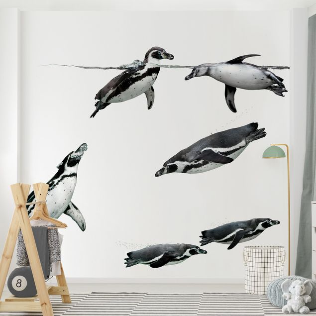 Papel de parede animais Penguin