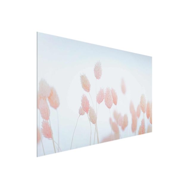 quadro com flores Grass Tips In Pale Pink