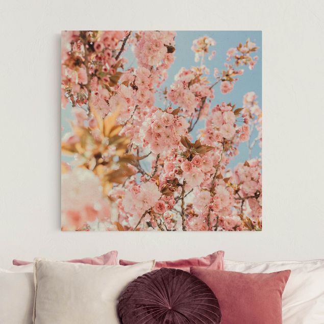 Telas decorativas flores Pink Cherry Blossoms Galore