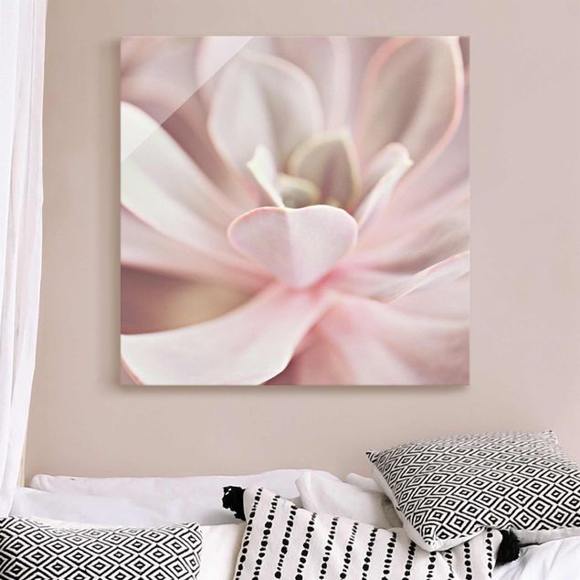 decoraçao para parede de cozinha Light Pink Succulent Flower