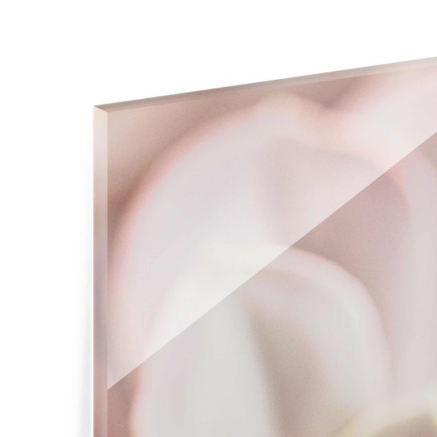 quadro de vidro Light Pink Succulent Flower