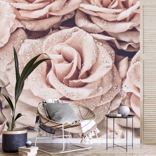 Papel de parede rosas Roses Sepia With Water Drops