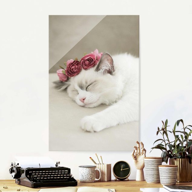 Quadros em vidro de rosas Sleeping Cat with Roses