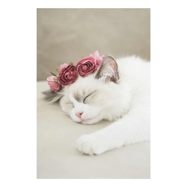 Quadros florais Sleeping Cat with Roses