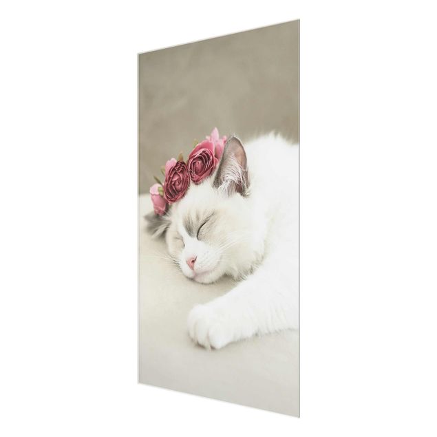 quadros flores Sleeping Cat with Roses