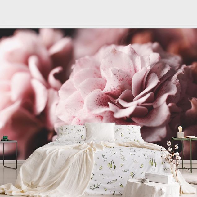 papel de parede para quarto de casal moderno Shabby Light Pink Rose Pastel