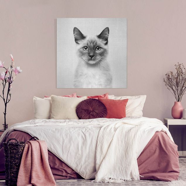 quadros com gatos Siamese Cat Sibylle Black And White