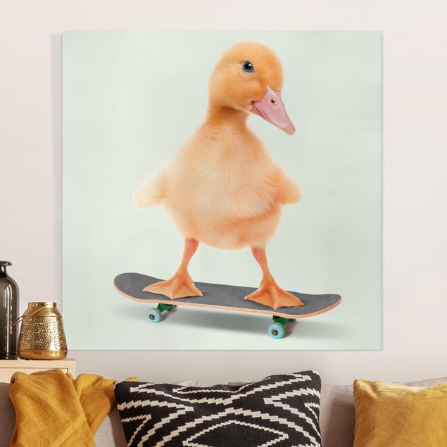 Telas decorativas aves Skate Duck
