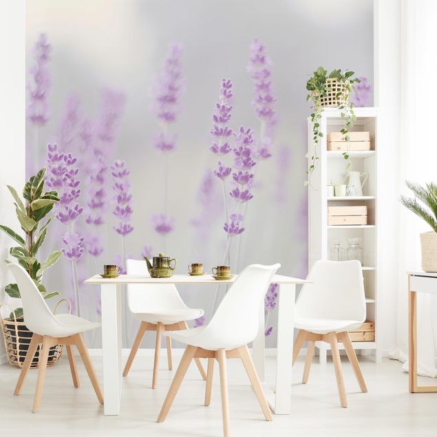 papel de parede moderno Summer In A Field Of Lavender