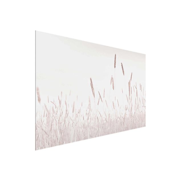 quadros de flores Summerly Reed Grass