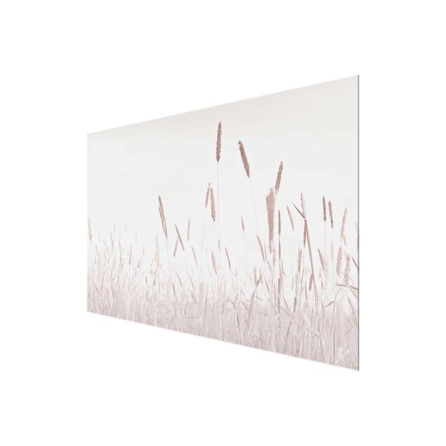 quadro de vidro Summerly Reed Grass
