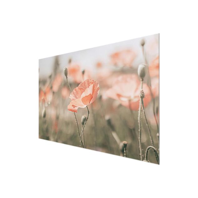 quadros flores Sun-Kissed Poppy Fields