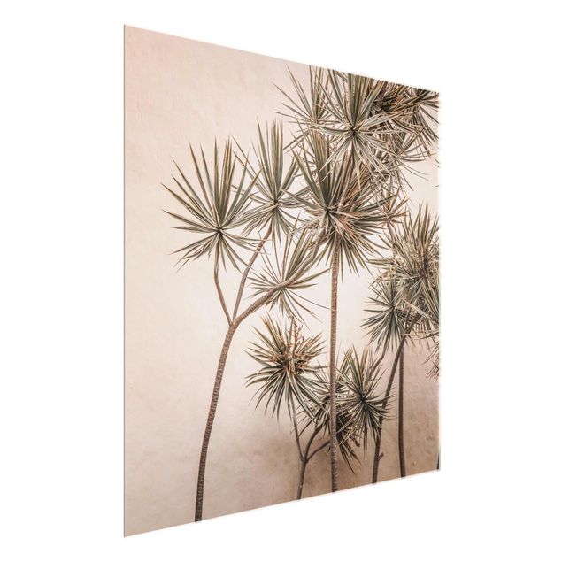 Quadros florais Sun-Kissed Palm Trees