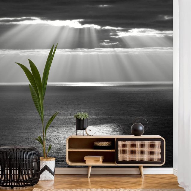 papel de parede moderno Sunlit Ocean Black And White