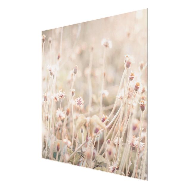 quadro de vidro Flowering Meadow In the Sun
