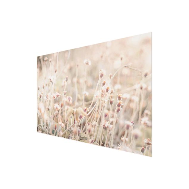 quadro de vidro Flowering Meadow In the Sun