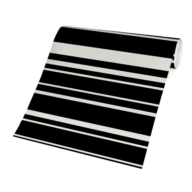Papel de parede preto Stripes On Black Backdrop