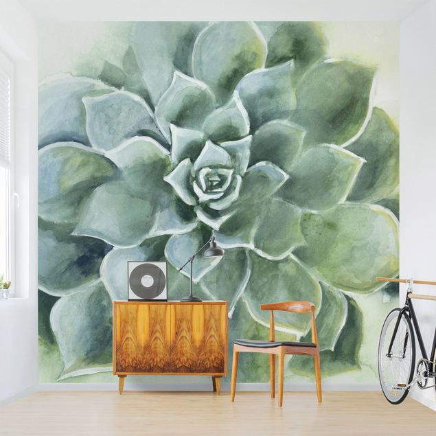 papel de parede moderno Succulent Plant Watercolour Dark