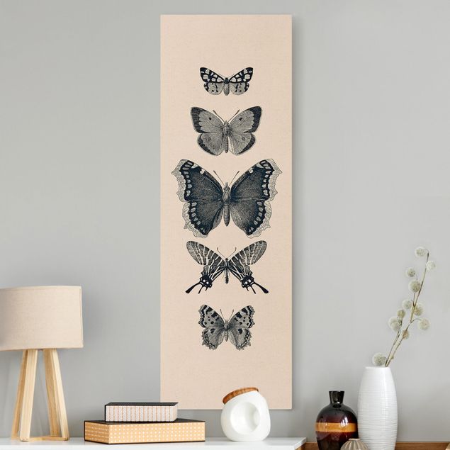 Telas decorativas borboletas Ink Butterflies On Beige Backdrop