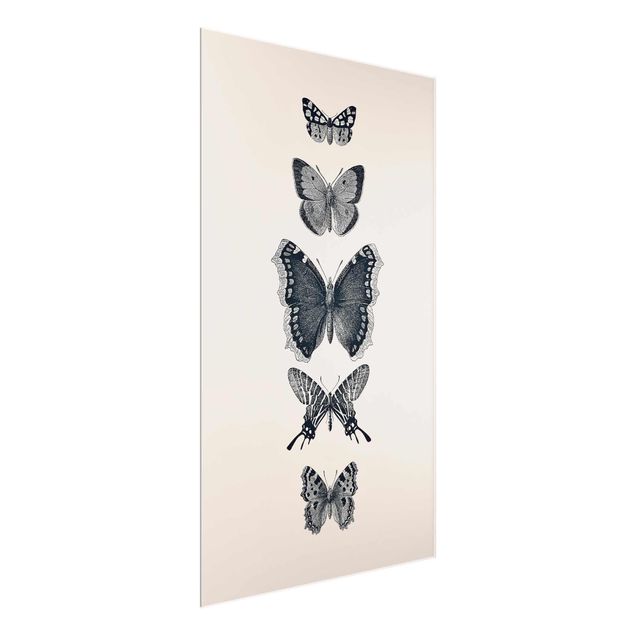 Quadros modernos Ink Butterflies On Beige Backdrop