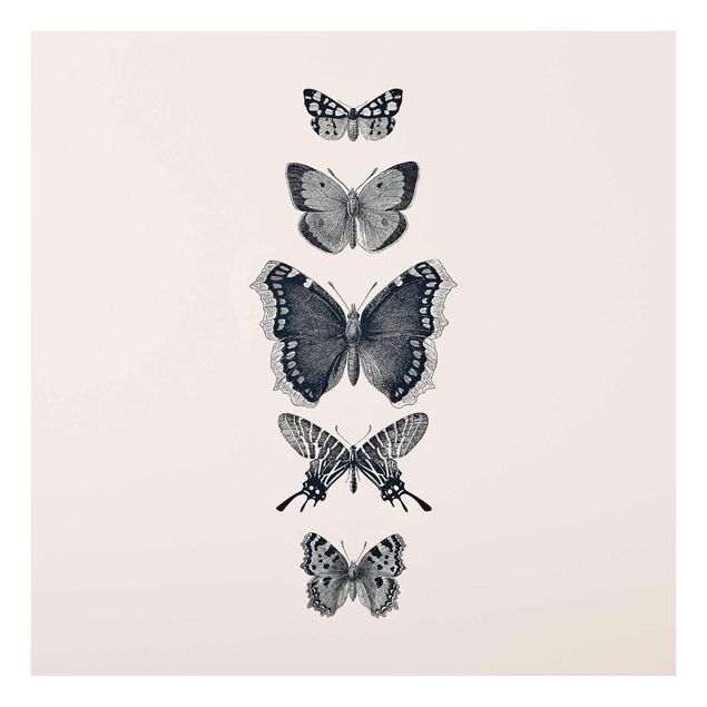 Quadros animais Ink Butterflies On Beige Backdrop
