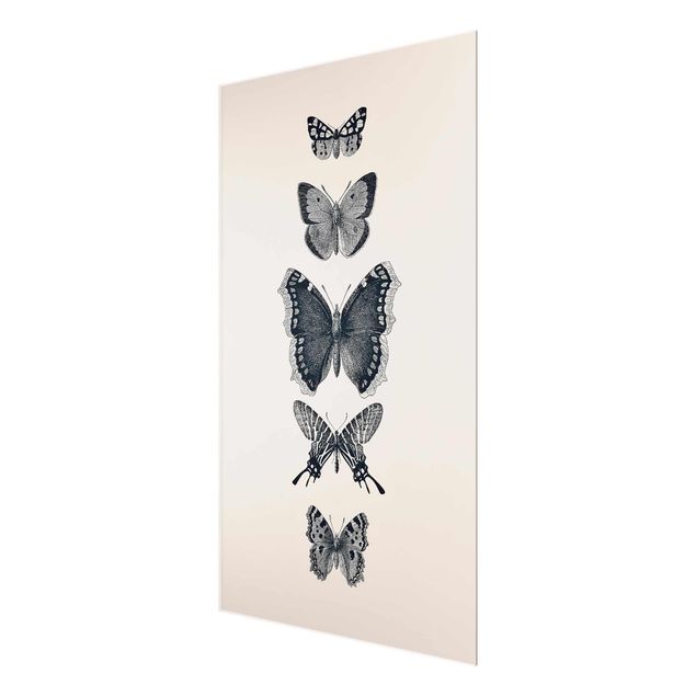Quadros em cinza Ink Butterflies On Beige Backdrop