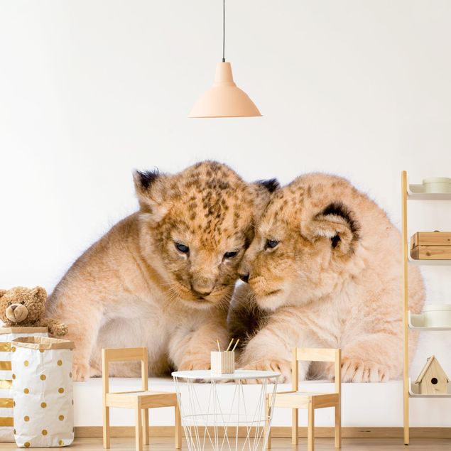 decoraçoes cozinha Two Lion Babys