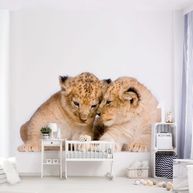 papel de parede moderno Two Lion Babys