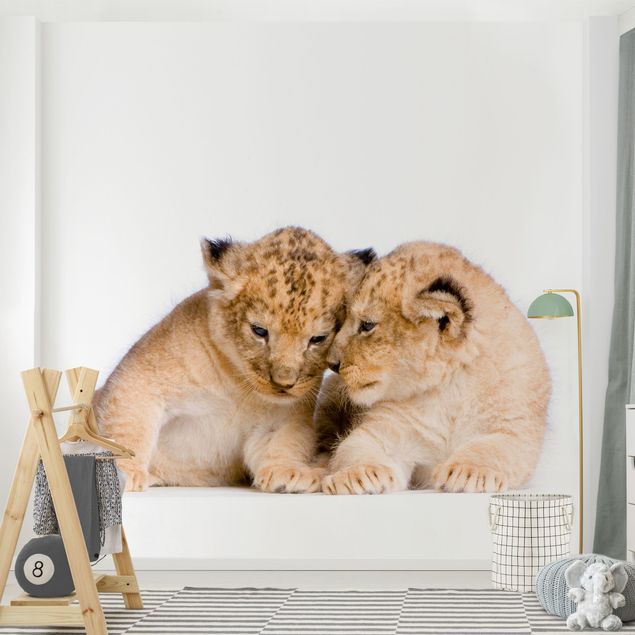 Papel de parede animais Two Lion Babys