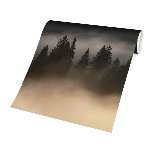 papel de parede preto absoluto Dreamy Foggy Forest