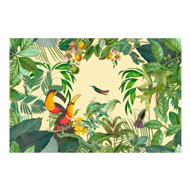 Quadros de Andrea Haase Vintage collage - birds in the jungle