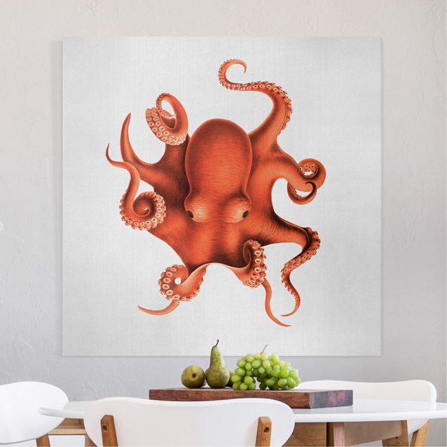 Telas decorativas peixes Vintage Illustration Red Octopus