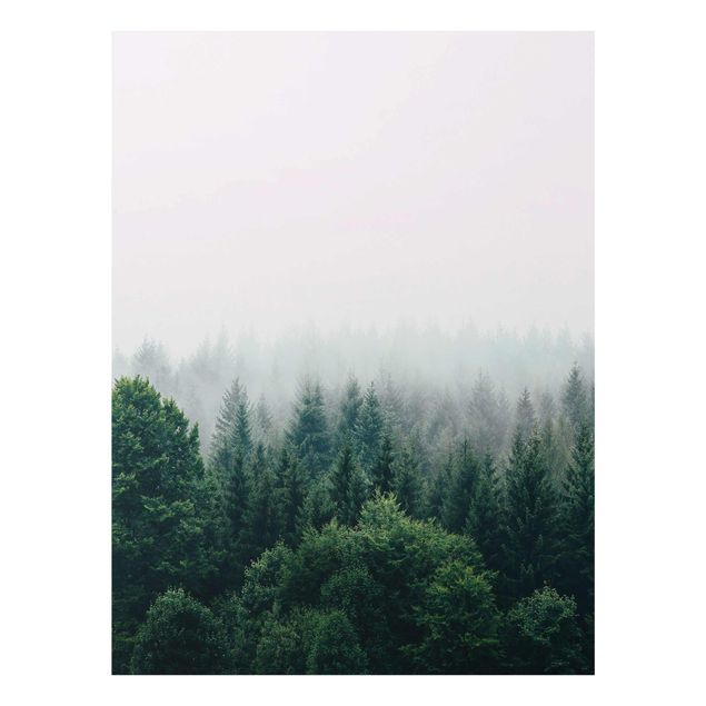 Quadros natureza Foggy Forest Twilight