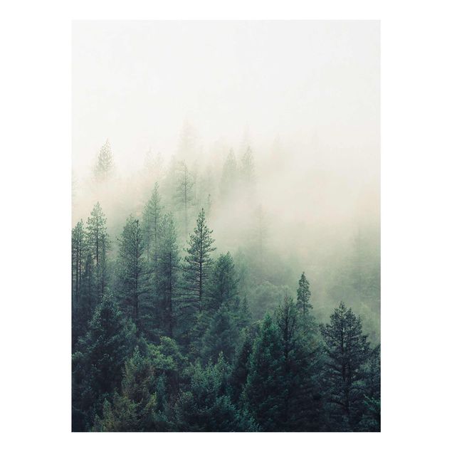Quadros natureza Foggy Forest Awakening