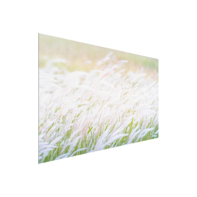quadro com flores Soft Grasses