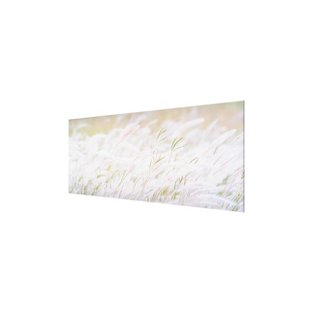 quadro de vidro Soft Grasses