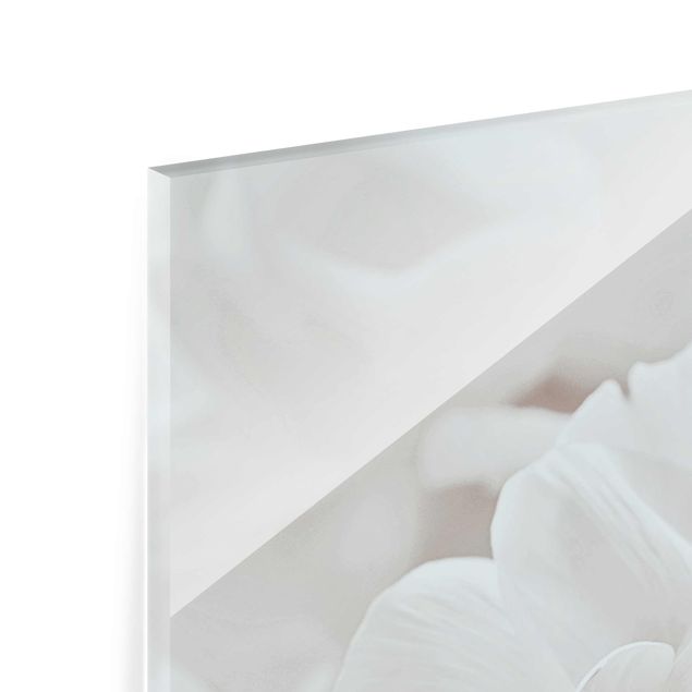 quadros para parede White Flower In An Ocean Of Flowers