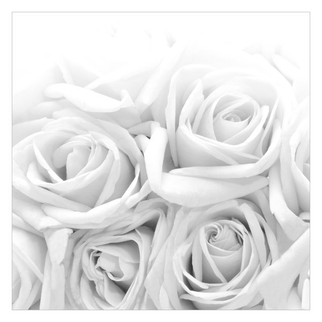 mural para parede White Roses Black And White