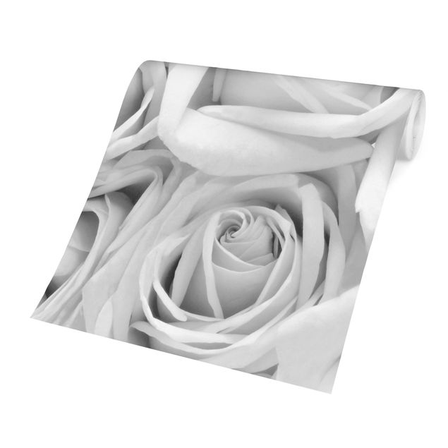 papel de parede floral White Roses Black And White