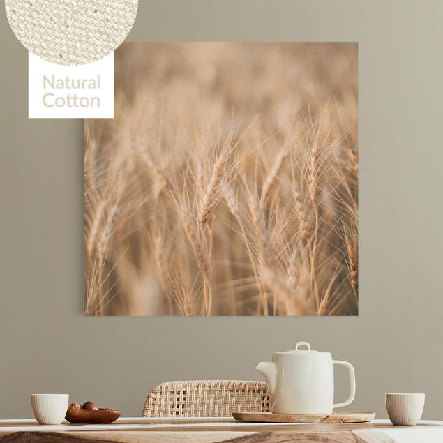 Telas decorativas gramíneas Wheat Field