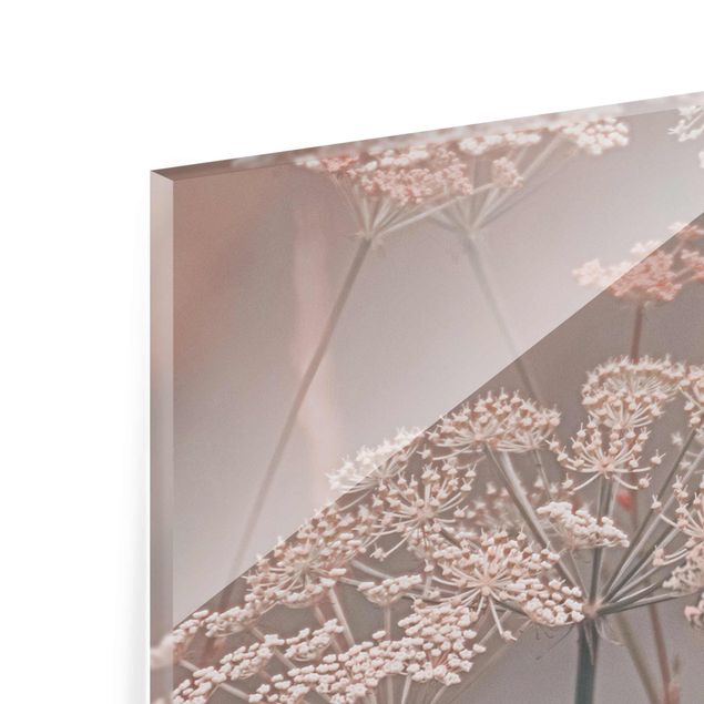 quadro de vidro Wild Apiaceae