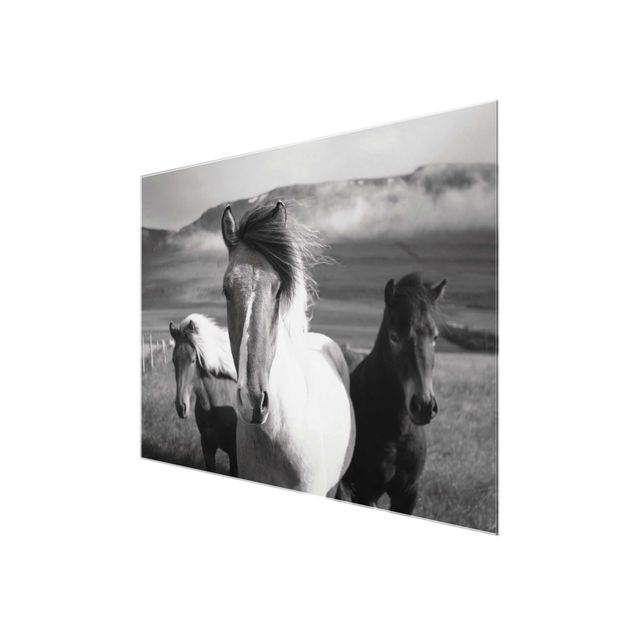 quadros em preto e branco Wild Horses Black And White